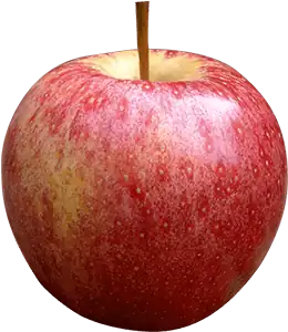 apple png