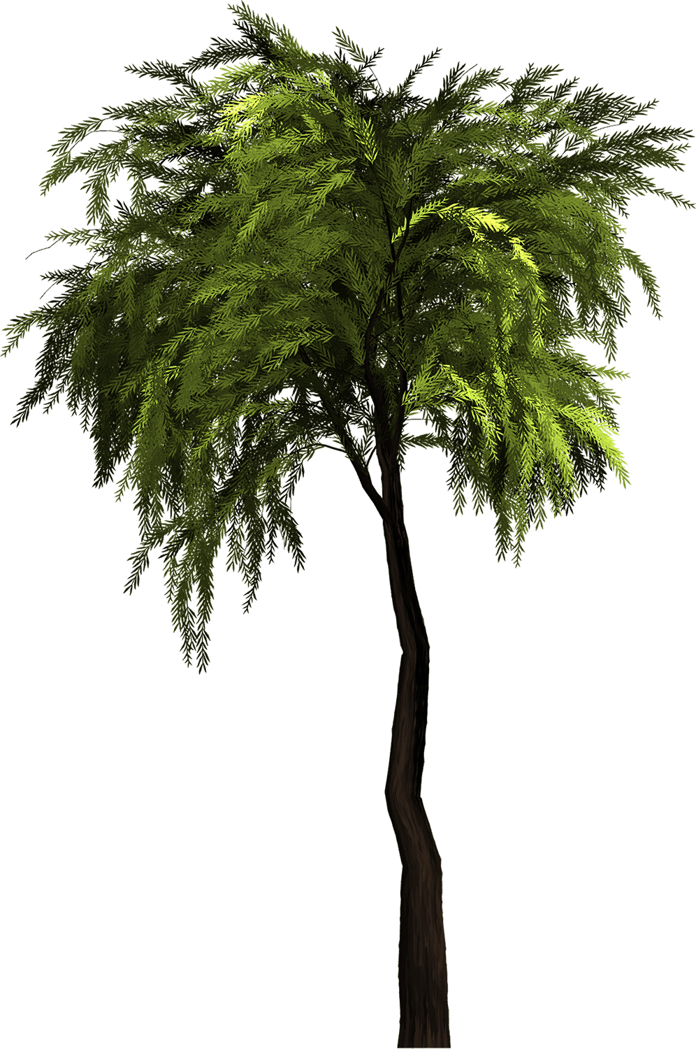 primepng