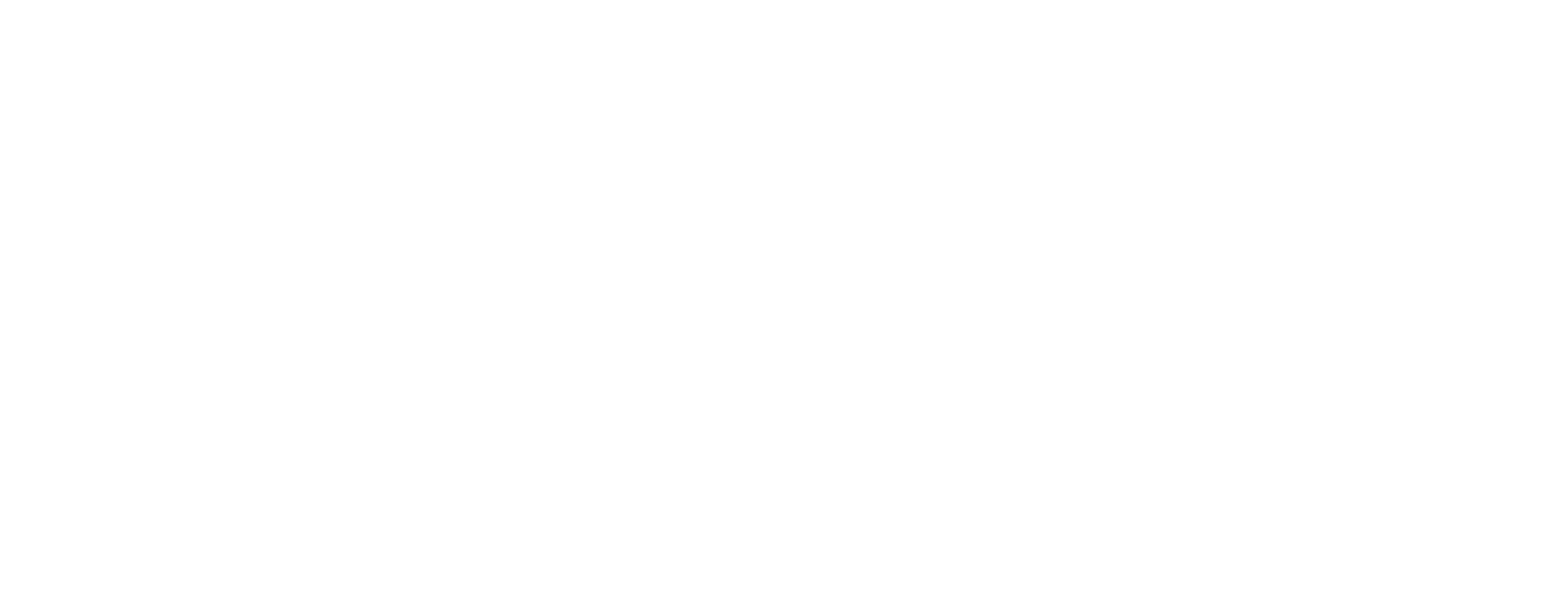 White Nagad Logo