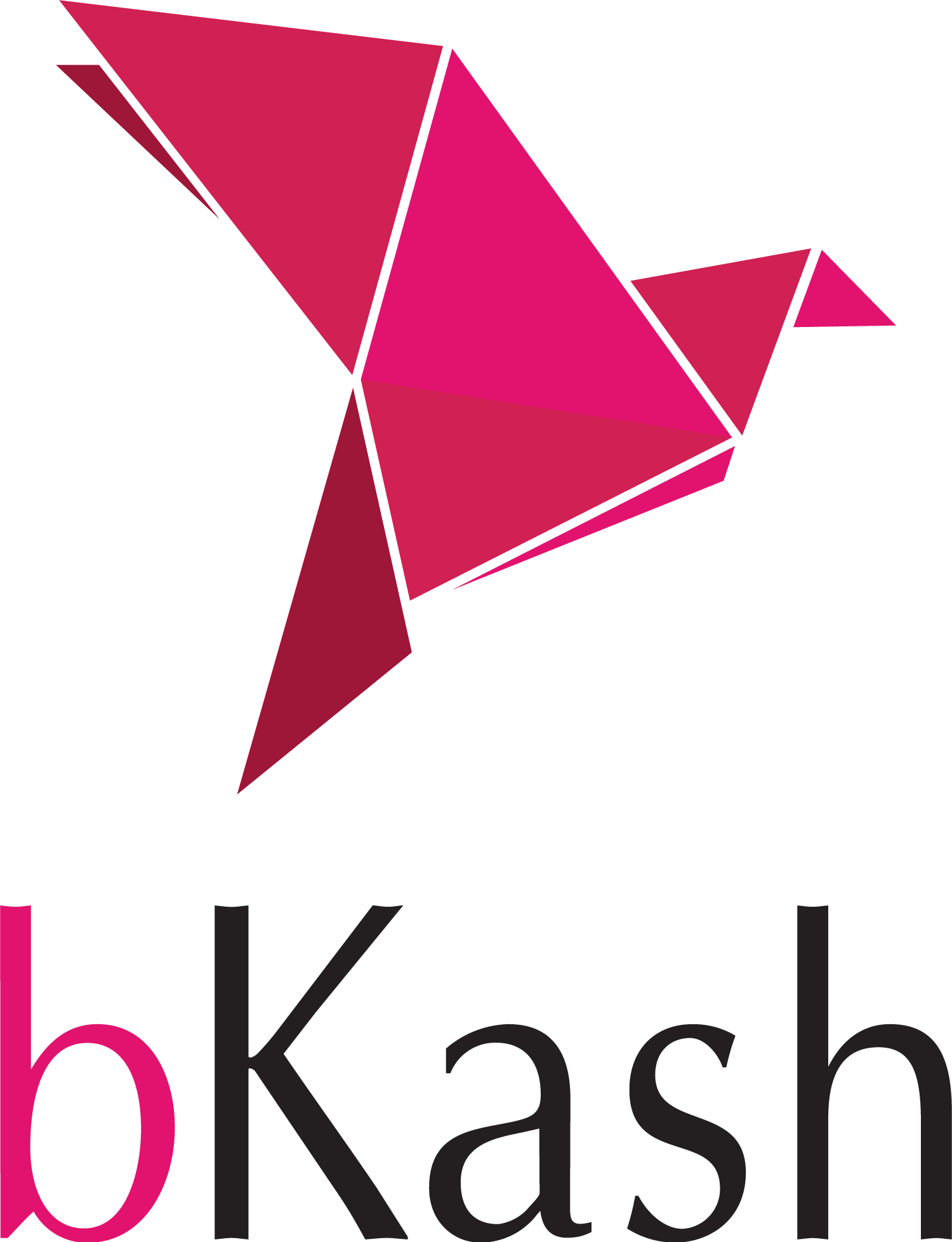 bKash Logo PNG
